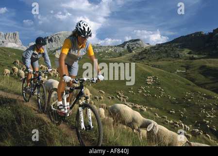 Passo Pordoi, vtt, Dolomites, Italie, Europe Banque D'Images