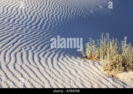 Sandstructures dans des dunes, White Sands National Monument, Nouveau-Mexique, États-Unis Banque D'Images