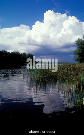 Useriner See, parc national de la Müritz, Mecklembourg-Poméranie, Allemagne, Europe Banque D'Images