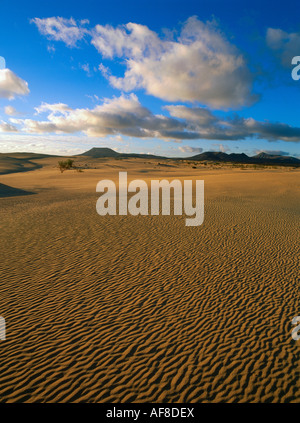 Volcans éteints, les Dunes d'Corrajelo, dunes de sable, parc naturel, Fuerteventura, Îles Canaries, Espagne Banque D'Images