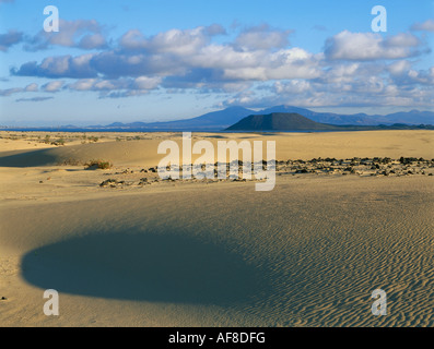 Vue sur l'île de Lobos et Lanzarote avec volcans éteints, les Dunes d'Corrajelo, dunes de sable, parc naturel, Fuerteventura, Banque D'Images