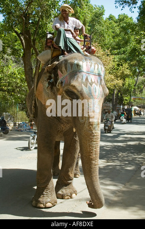 Vue verticale d'un éléphant indien peint et c'est mahoot marcher dans les rues d'Udaipur au soleil Banque D'Images