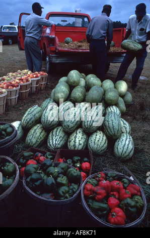 Delaware,Mid Atlantic,Delmarva Peninsula,The First State,Dover,Farmers Market,Farmer's,Farmers',fruit,légume,légumes,nourriture,produits,stalles Banque D'Images