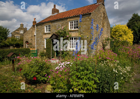 Cottages Hutton-le-Hole Yorkshire UK Juillet Banque D'Images