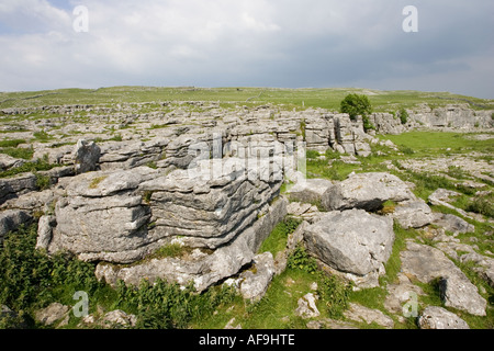 Profondément érodé rocheux usés de lapiez à Malham Cove, Yorkshire Dales UK Banque D'Images