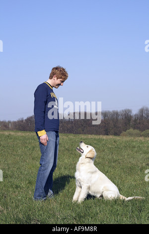 Golden Retriever (Canis lupus f. familiaris), assis en face d'un homme Banque D'Images