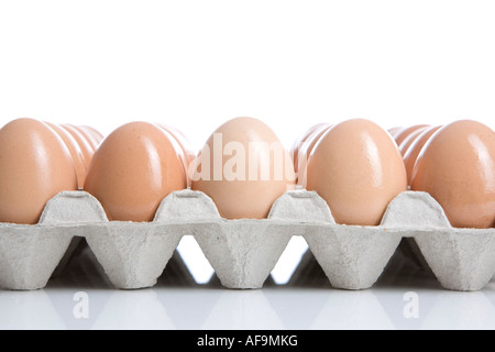 Oeufs dans le bac, close-up Banque D'Images