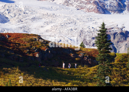 Randonneurs sur le sentier Skyline sous le Mont Rainier le Mont Rainier National Park Washington Banque D'Images