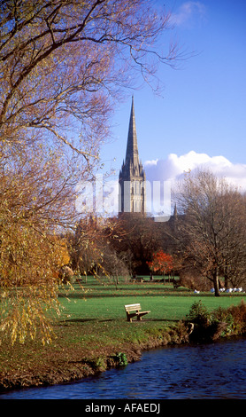 Voir l'automne de la cathédrale de Salisbury et l'Avon à partir de l'eau Meadows Banque D'Images