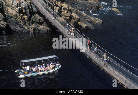 Pont suspendu au-dessus de la rivière tempêtes embouchure dans l'Tsitsikamma National Park Garden Route en Afrique du Sud Banque D'Images