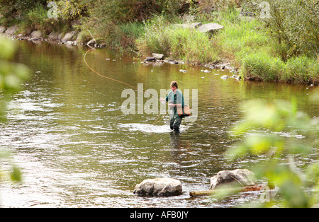 La pêche à la mouche La pêche de truites et saumons sur une rivière au Royaume-Uni Banque D'Images