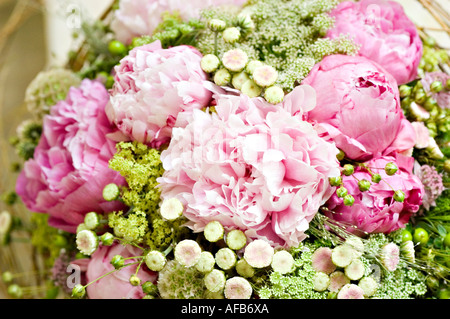 Arrangement floral élégant de roses roses roses blanches avec une végétation luxuriante et de petites fleurs blanches dans un bouquet décoratif. Banque D'Images
