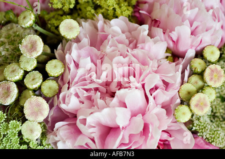Gros plan d'un bel arrangement floral de roses blanches roses avec des bourgeons de remplissage verts et des pétales délicats. Banque D'Images