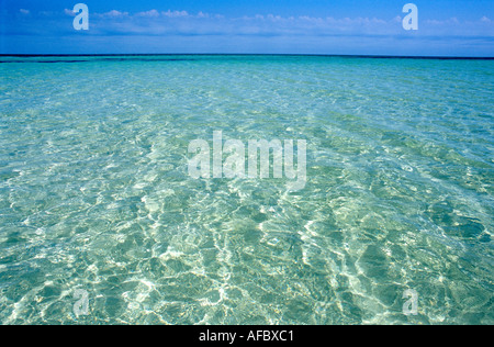 Les eaux translucides chatoient sur du sable blanc Bahia Honda State Park Florida Keys en Floride Banque D'Images