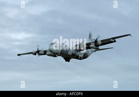 Pays-bas - Air Force Lockheed C-130H-30 Hercules (L-382) Banque D'Images
