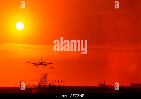 Avion de l'atterrissage au coucher du soleil Banque D'Images