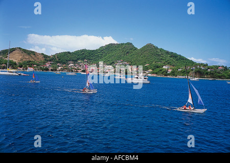 Régate Hobie, Terre-de-Haut, Iles des Saintes Guadeloupe, Caraïbes Banque D'Images