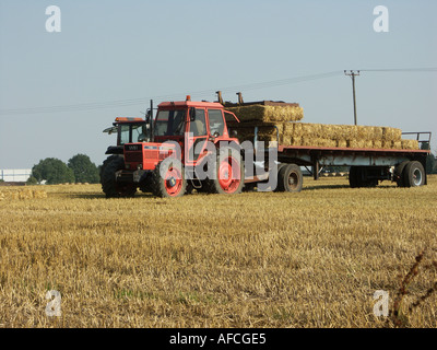 La mise en balles de foin dans la campagne anglaise. Un tracteur rouge tire une remorque chargée à balles rectangulaires de paille ou de foin. Banque D'Images