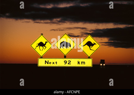 La signalisation routière au lever du soleil, Eyre Highway SA, Australie Banque D'Images