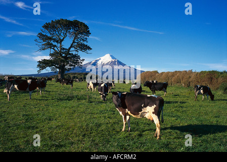 Le Mont Taranaki, près de New Plymouth, Taranaki, île du Nord, Nouvelle-Zélande Banque D'Images