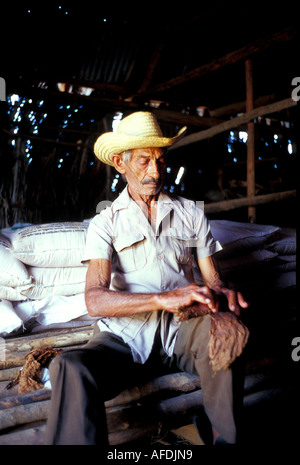 Tabakbauer Vinales im Tal, Provinz Pinar del Rio Cuba, Caraïbes Banque D'Images