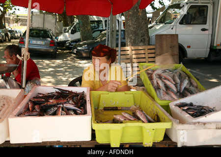 Une vieille femme qui vole au marché aux poissons, Viana do Castelo, au nord du Portugal Banque D'Images