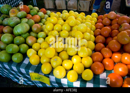 Les tomates biologiques à green city farmers market Chicago Illinois Banque D'Images