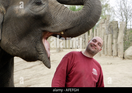 Le gardien de zoo Uwe Schneider obtient un baiser de l'éléphant ringard Banque D'Images