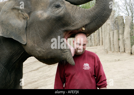 Le gardien de zoo Uwe Schneider obtient un baiser de l'éléphant ringard Banque D'Images