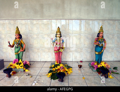 Région Savanne Maurice Hindu Temple Tamoul Sri Siva Subarmaniya Kovil certaines de Durga's Daughters Banque D'Images