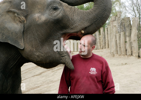 Le gardien de zoo Uwe Schneider obtient un baiser de l'éléphant ringard Banque D'Images