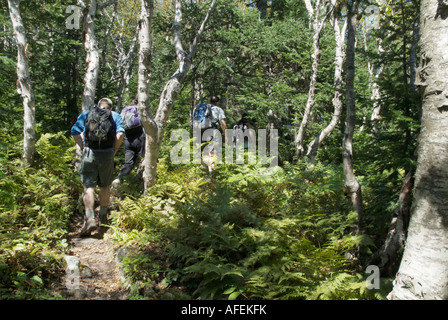 Les randonneurs descendent le vieux sentier s garde-feu après avoir atteint le sommet du mont Hale situé dans les Montagnes Blanches du New Hampshire Banque D'Images