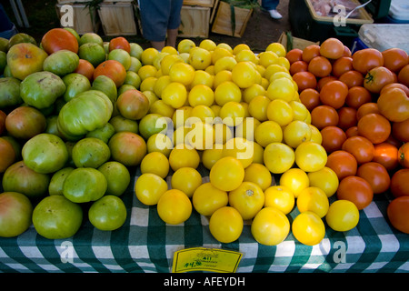 Tomates à organic green city farmers market Chicago Illinois Banque D'Images