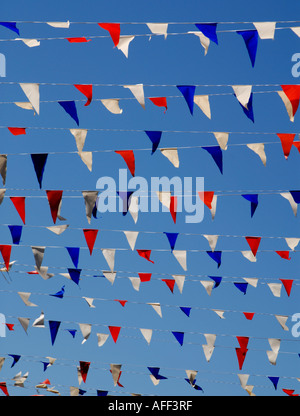 Bunting Banque D'Images