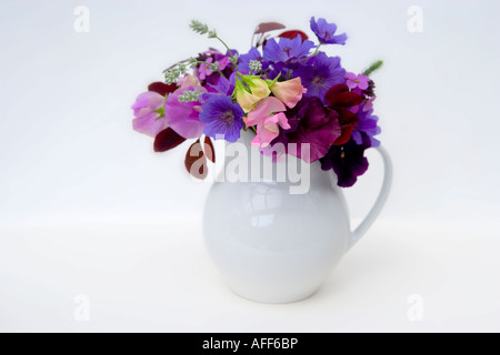 Fleurs d'été tout un jardin anglais dans un livre blanc la chine verseuse Banque D'Images