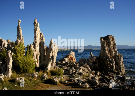 Tufas au lac Mono Banque D'Images