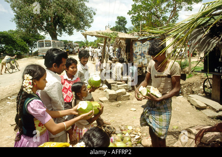 L'Inde Karnataka Halebid fresh coconut drink stall Banque D'Images