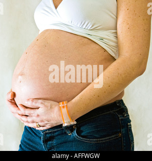 8 mois pregnant woman holding her belly closeup Banque D'Images