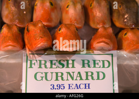 Sur le grondin poissonnier marché couvert d'Oxford en dalle Banque D'Images