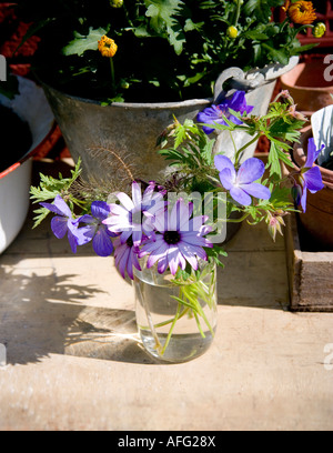 Osteospurnum et Géranium choisis dans le jardin, dans un pot de confiture en verre Banque D'Images