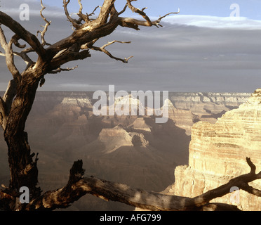 USA - ARIZONA : Grand Canyon vu de Yaki Point Banque D'Images