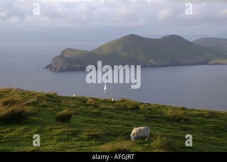 Vue sur la baie de Valentia, Montagne Geokaun Valentia Island, comté de Kerry, Irlande Banque D'Images