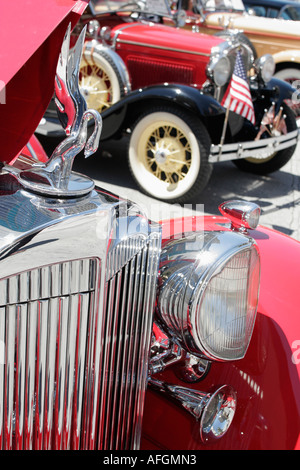 Miami Florida,Flagler Street,Classic car cars Show,antique Packard,voitures,voitures,voitures,automobiles,automobiles,auto,automobiles,véhicule,véhicules,rouge,ornement de capot, Banque D'Images