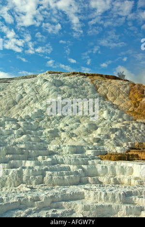 Mommoth Hot Springs Parc National de YellowStone terrasses faites de carbonate de calcium cristallisé Banque D'Images