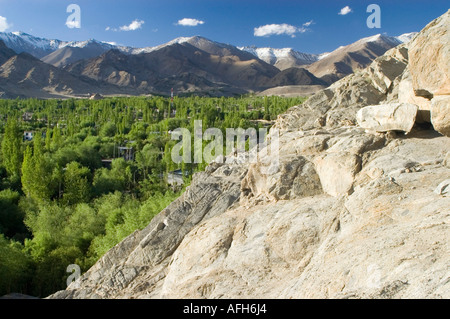 Vue sur la vallée de Leh, Ladakh, le Jammu-et-Cachemire, l'Inde Banque D'Images