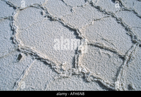 Croûte de sel au Salar de Atacama, désert d'Atacama, Chili Banque D'Images