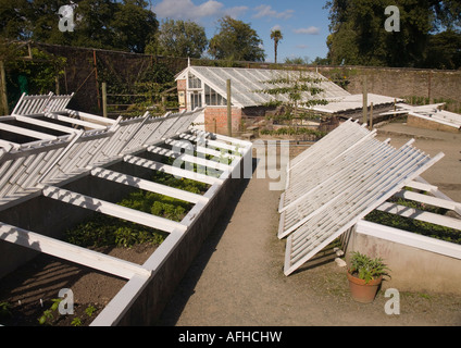 Les jardins, créés principalement dans le 19ème siècle, ont été de l'un des plus beaux jardins en Angleterre de leur période, avec 57 hectares de Banque D'Images