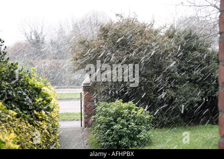 La neige qui tombe à 45 degrés dans le jardin résidentiel Banque D'Images