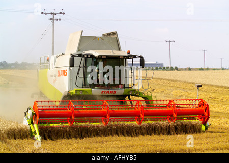 La récolte de blé de l'rendmt Lexion Claas 580 terra trac combine harvester Banque D'Images