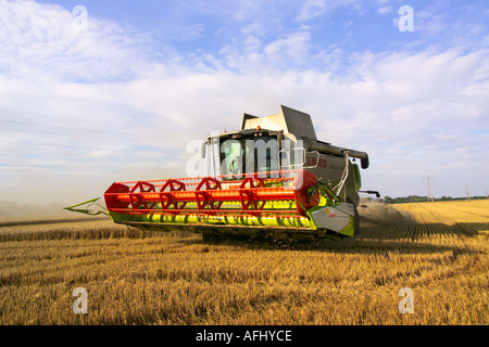 La récolte de blé de l'rendmt Lexion Claas 580 terra trac combine harvester Banque D'Images